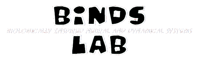 logo image here